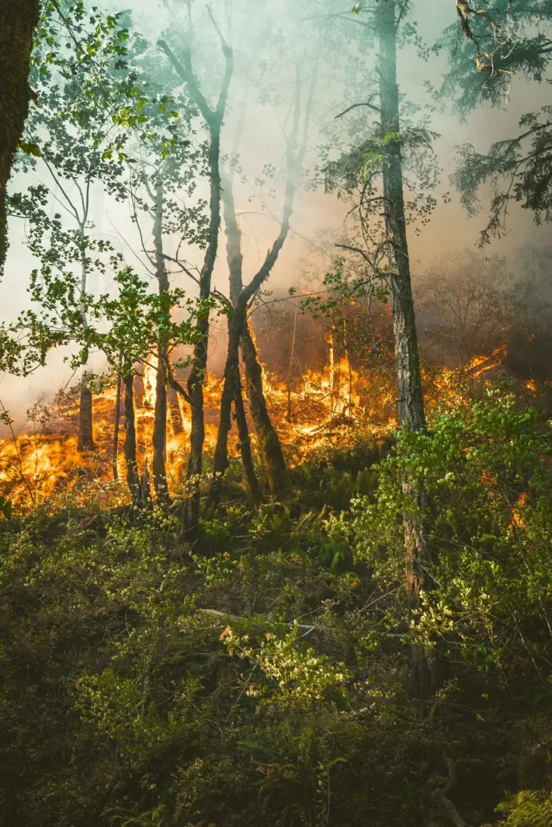 Après l'épreuve, la solidarité reconstruit